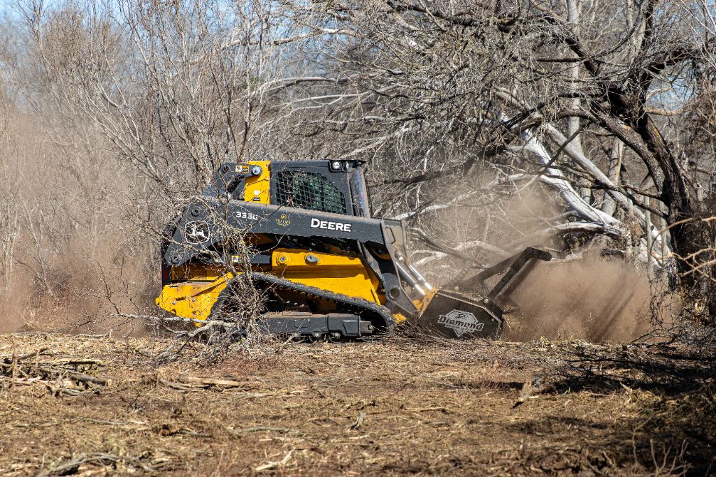 Fence line clearing and brush removal